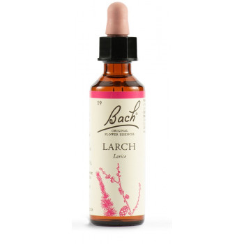 BACH LARCH ORIG 20ML