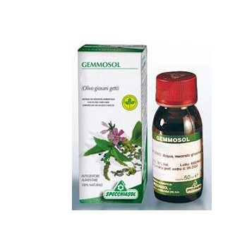 GEMMOSOL 36 RIBES NERO 50ML